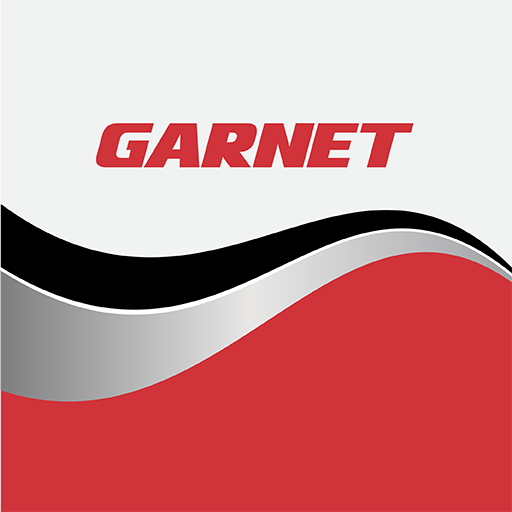 Garnet SeeLevel Tank Monitors